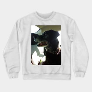 Britt Britt Crewneck Sweatshirt